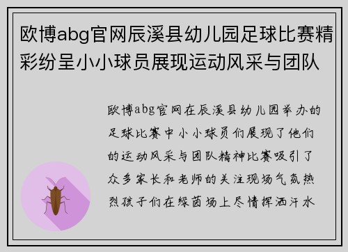 欧博abg官网辰溪县幼儿园足球比赛精彩纷呈小小球员展现运动风采与团队精神