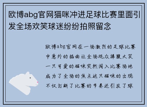 欧博abg官网猫咪冲进足球比赛里面引发全场欢笑球迷纷纷拍照留念